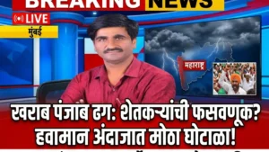 पंजाब ढग हवामान