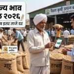 पैठण मधील धान्य