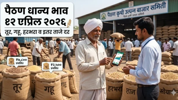 पैठण मधील धान्य